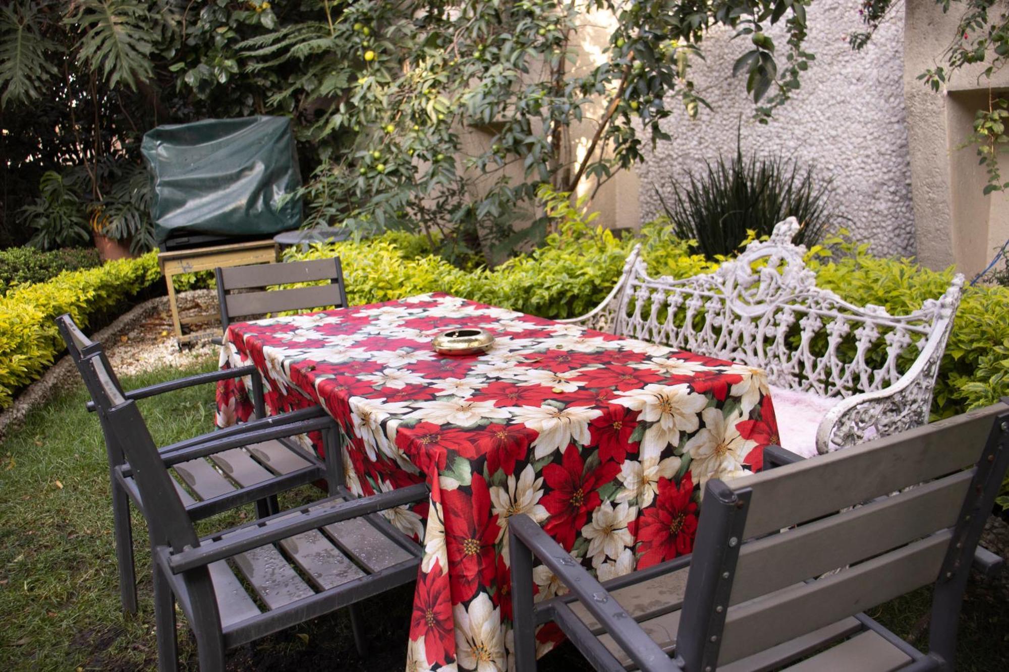 El Domo Jardin En Coyoacan Apartamento México DF